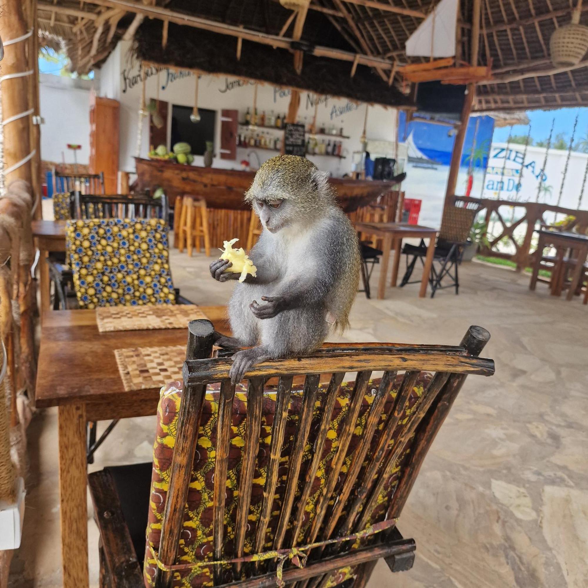 Tiande Boutique Hotel Pwani Mchangani Luaran gambar